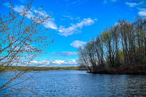 Морозовский уезд фото 22